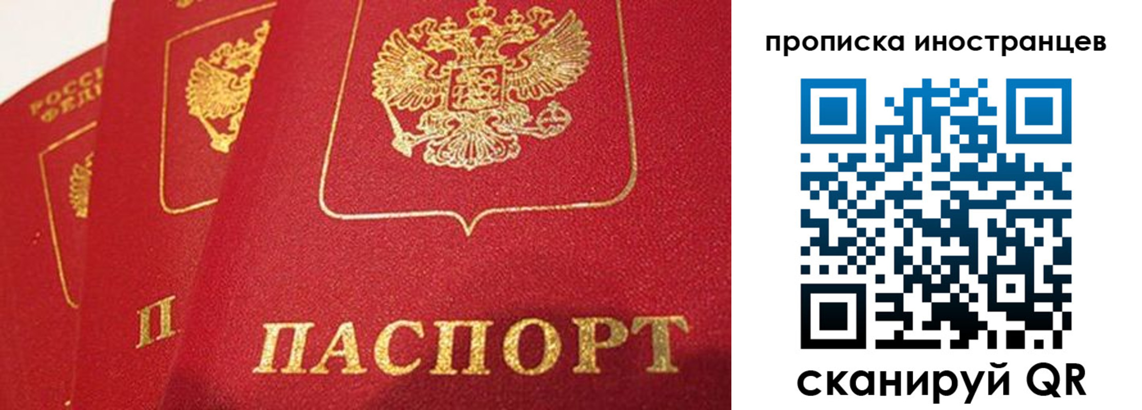 прописка поиск в Приволжске
